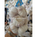 Fresh New Garlic este ambalat acum